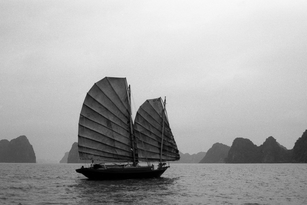 Jonque &agrave; Along 01 c. Patrick Vian&egrave;s 2006